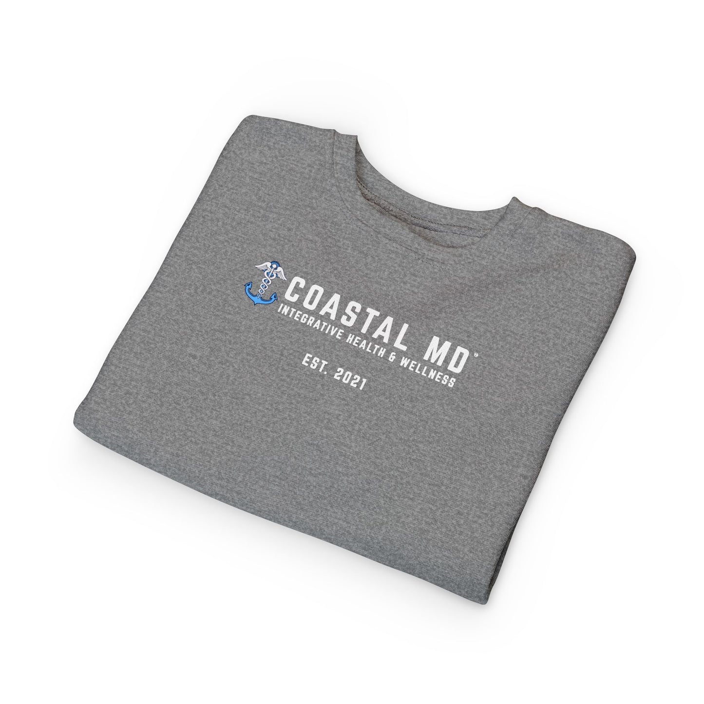 Coastal MD Toddler Sweatshirt — Blue Race Car Anchor Design