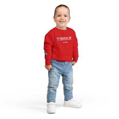 Coastal MD Toddler Sweatshirt — Blue Race Car Anchor Design