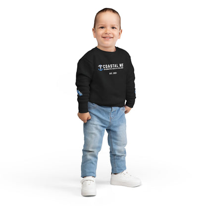 Coastal MD Toddler Sweatshirt — Blue Race Car Anchor Design